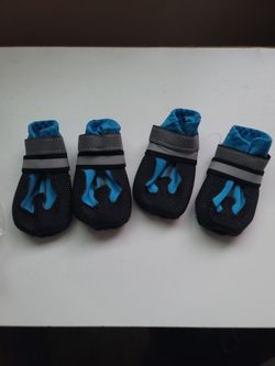 Small dog shoes