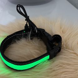 Rechargeable LED Dog Collar - Waterproof, Flashing Light for Safety and Visibility