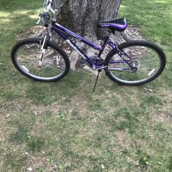 26” Mountain Bike 