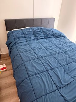 Queen Sized Saatva Bed and Box