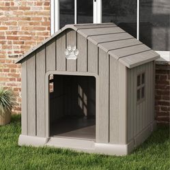 Dog House 