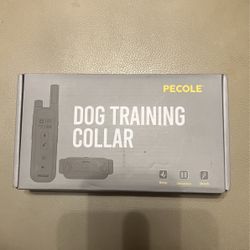 Dog Training Collar