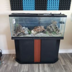 55 Gallon Aquarium And Supplies