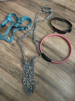 Carhartt Dog Collar, Harness, Bag Carrier