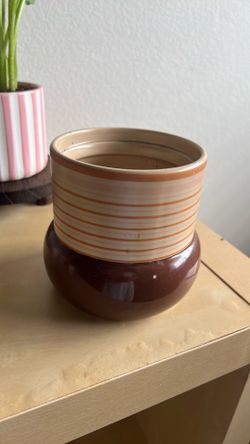 Plant vase