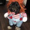 Louie