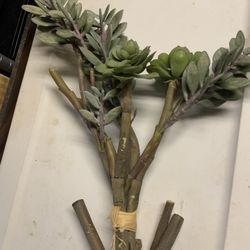 Faux Succulent Branches