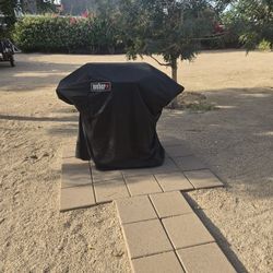 Dyna-Glo 2-Burner Propane Grill with Cover
