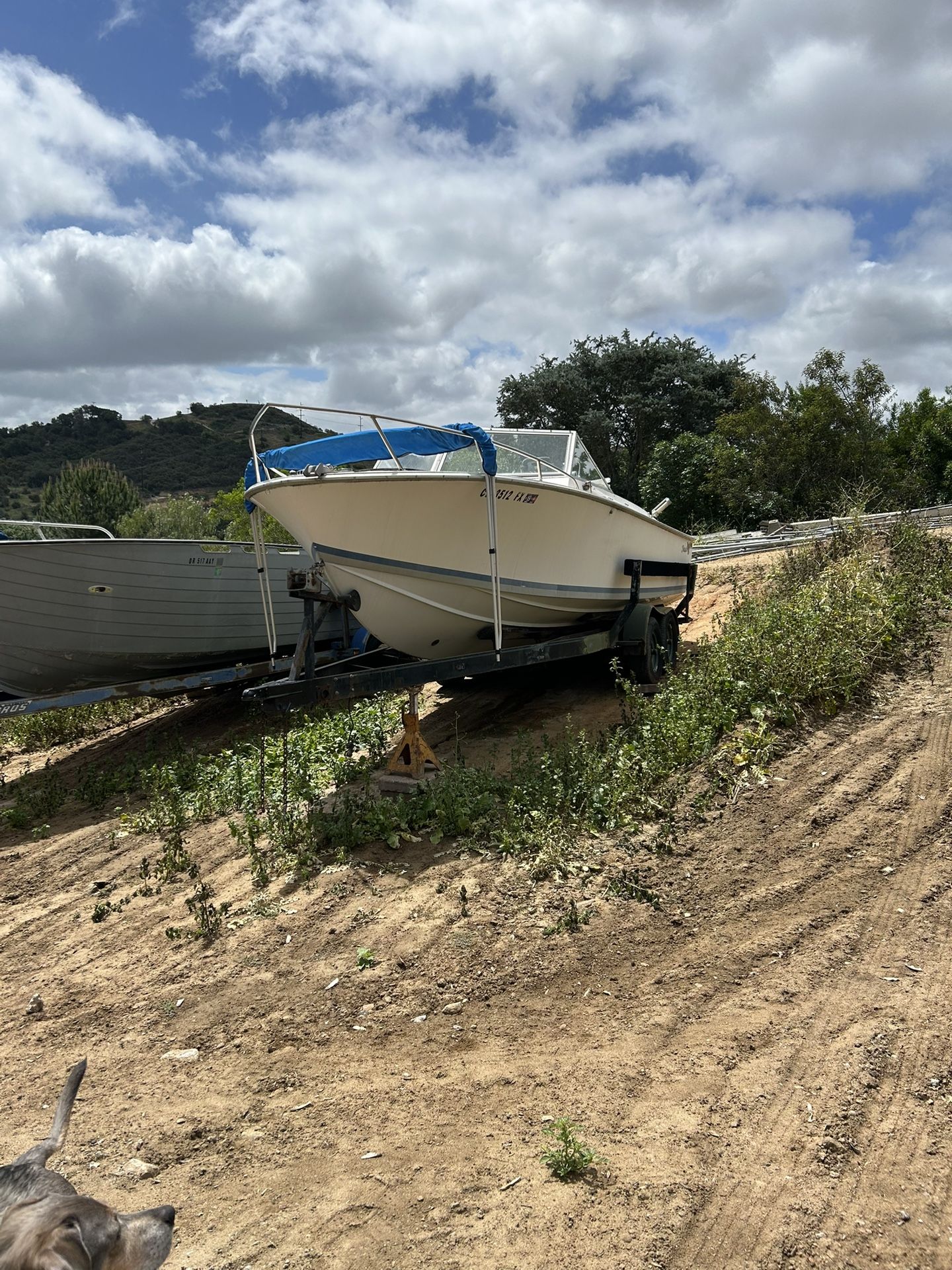 1966 Formula Thunder Bird Boat