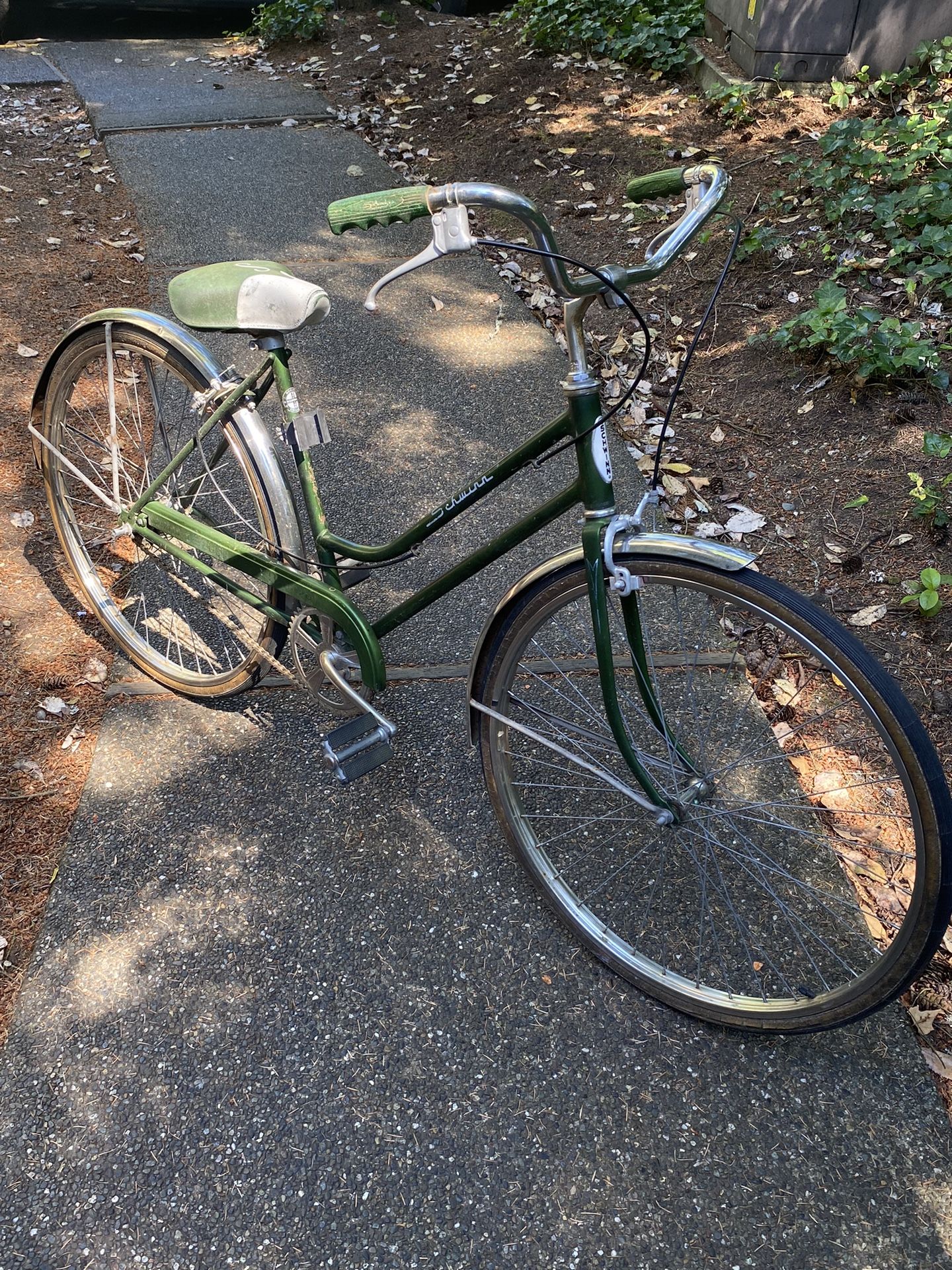 1973 Schwinn Breeze Cruiser Bike