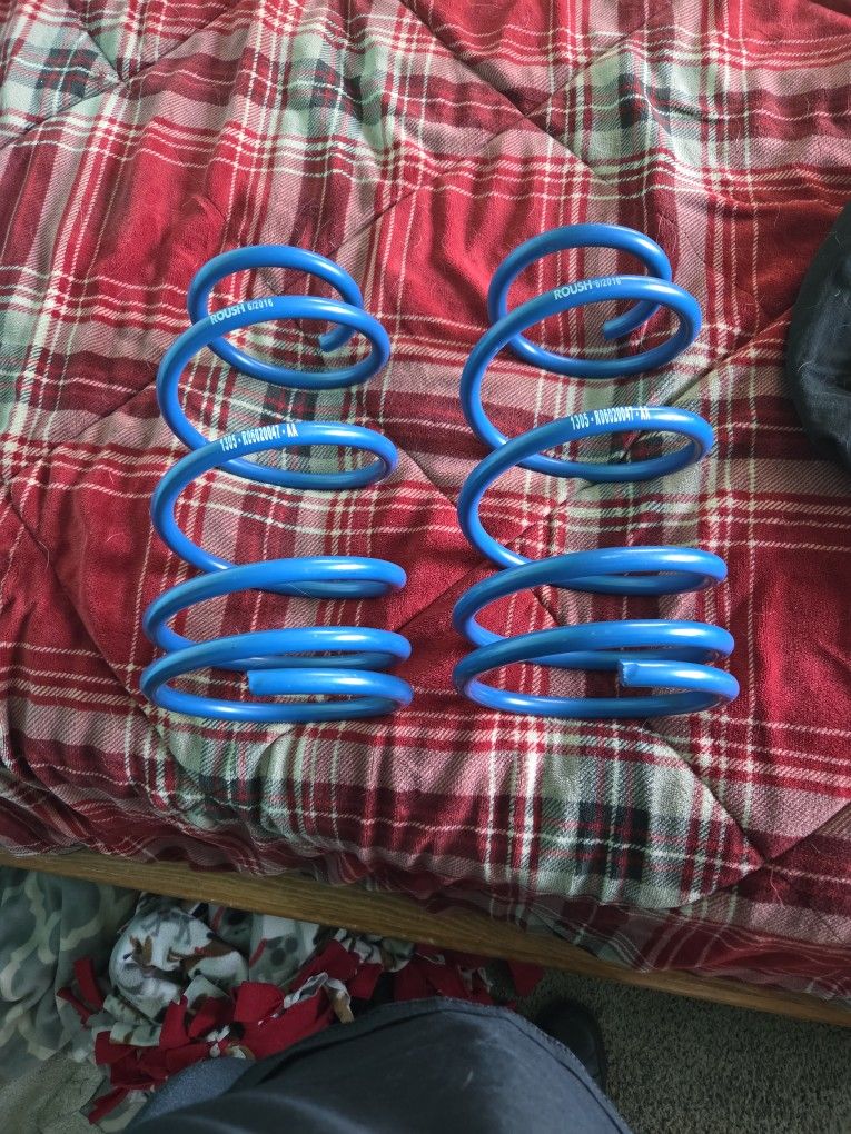 Roush front springs for 2005 to 2014 mustang