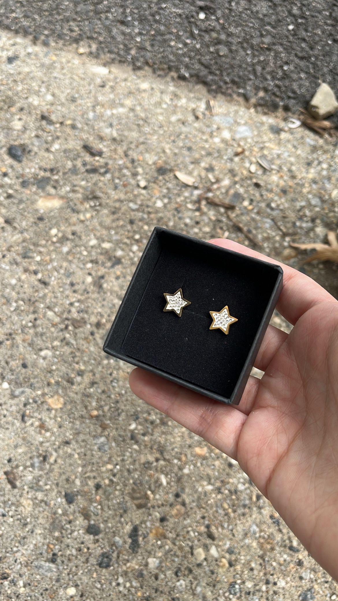 Star Earrings