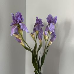 Flowers  For Vase 