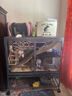 Critter nation cage for small animals