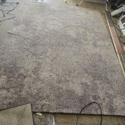 Area Rug