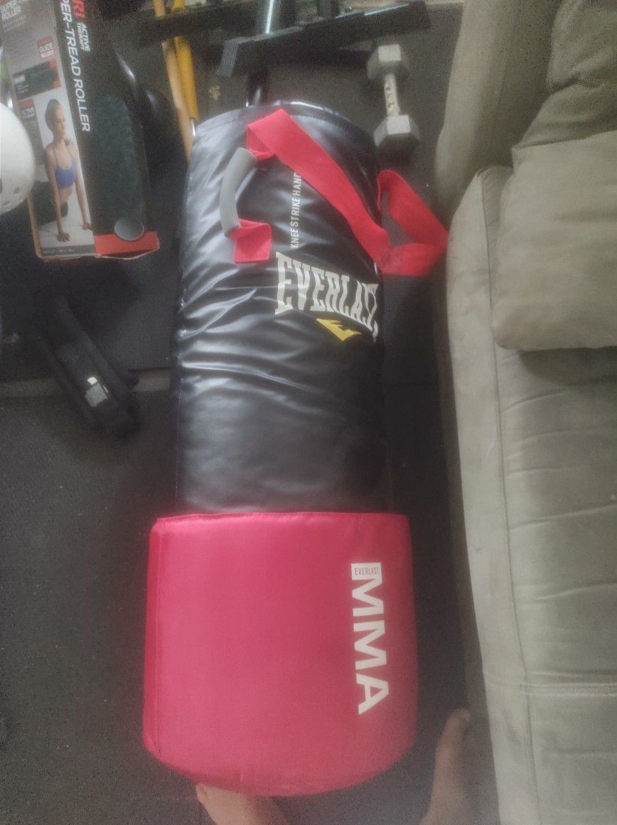 50 Lb Everlast Mma Boxing Bag