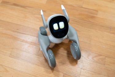 Loona robot cat