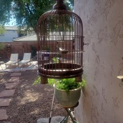  Antique Bird Cage
