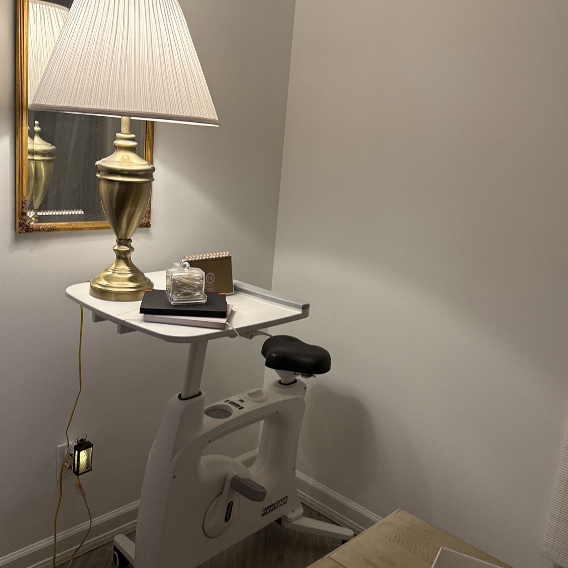 Exercise Bike Lamp And Matching Mirror From Amazon