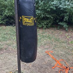 Everlast Powercore Freestanding Heavy Bag