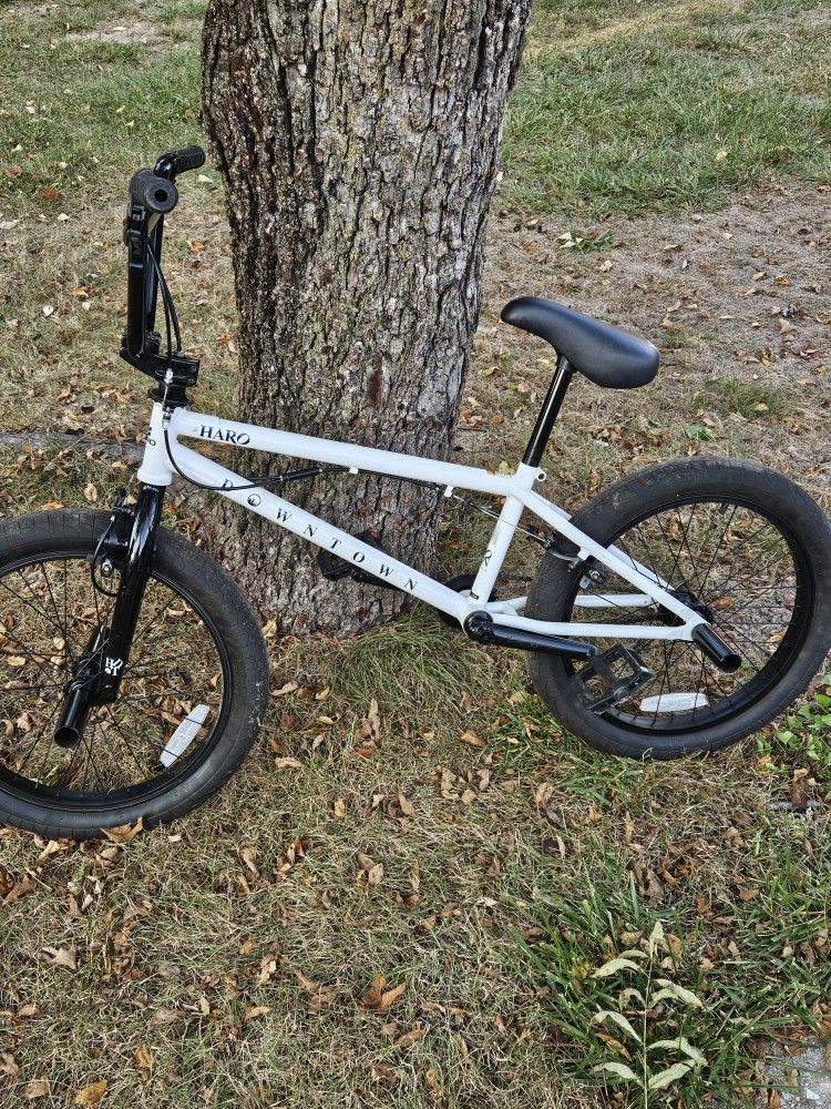Flatland BMX 2021 Haro Downtown