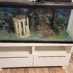 Fish Tank