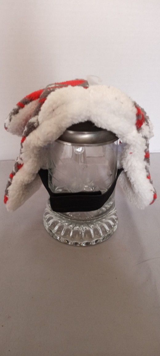 Winter Is Here! Keep Your Small Dog's Head Warm When The Head Outside