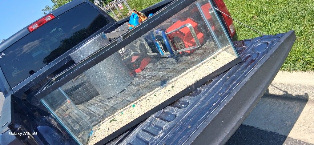 Fish Tank