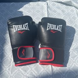 Everlasting 14oz Boxing Gloves