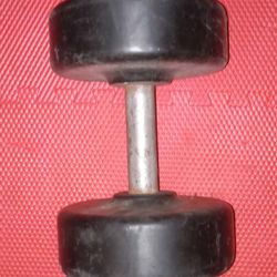 55lb STAR TRAC Rubber Bumper Dumbell Weight 
