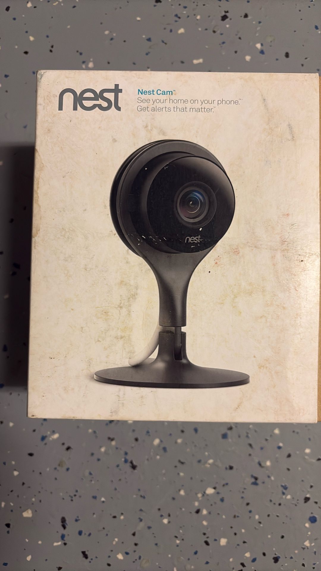 Nest Cam