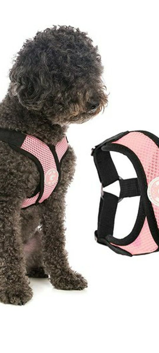Gooby Dog Harness - Comfort X Step-in Small Dog Harness with Patented Choke-Free X Frame - Perfect on The Go No Pull Harness for Small Dogs or Cat Har