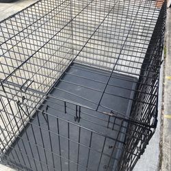 Medium Cage 