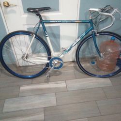 SE Single Speed