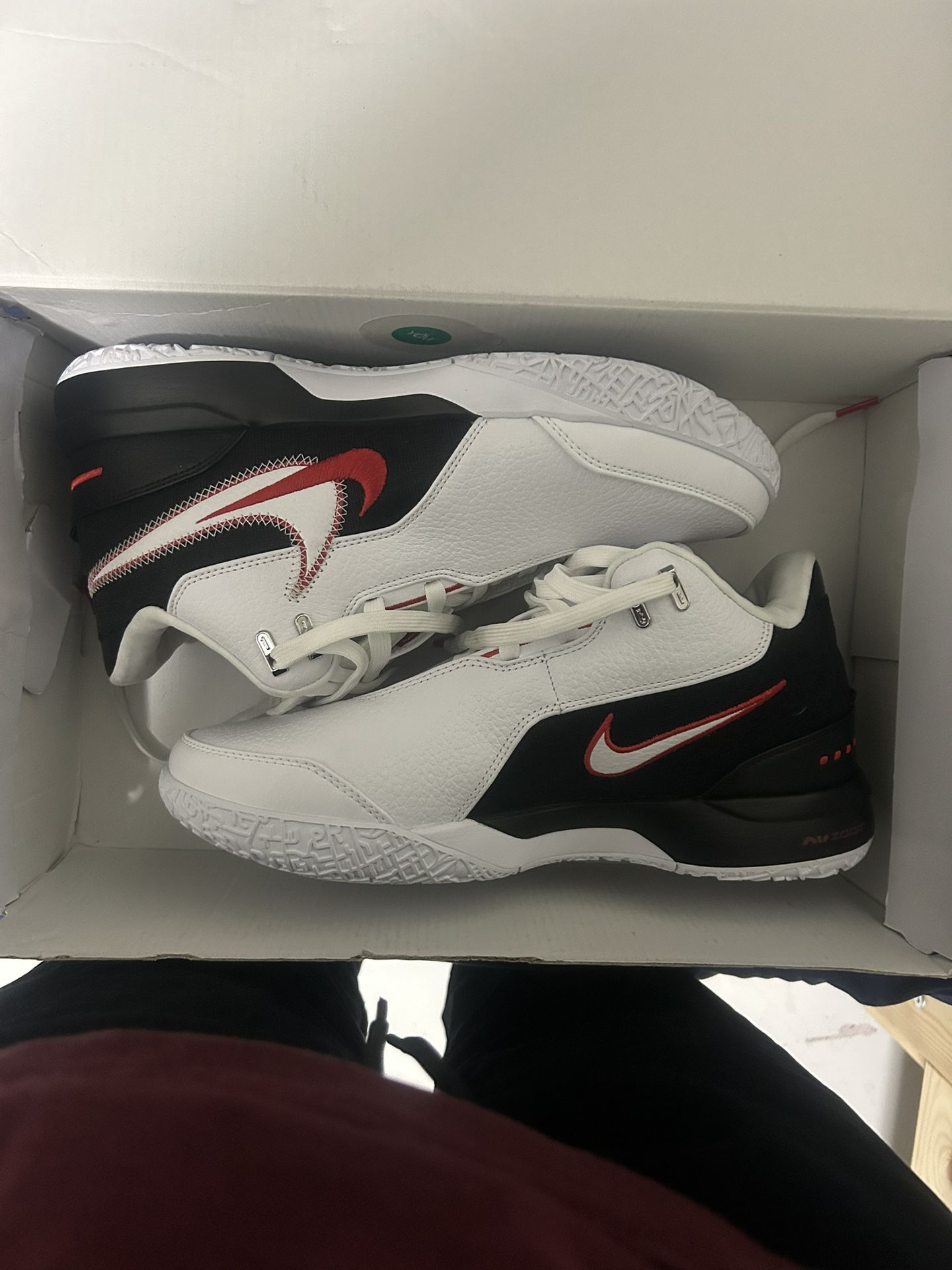Lebrons Remake First Game Shoes