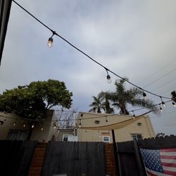 Edison String Lights 
