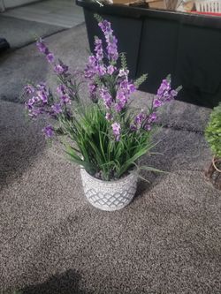 Plastic plant