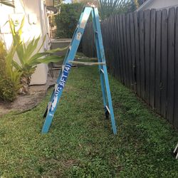 Metal Ladder 6ft