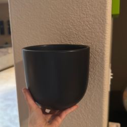 Wall Plant Pot