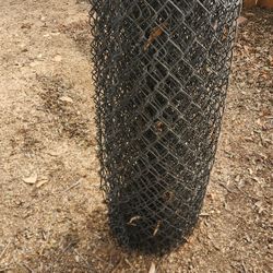 Black Coated Chian Link Fence 