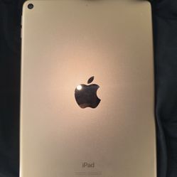 iPad 5 Mini