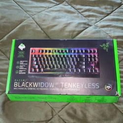Razer Blackwidow v3 keyboard