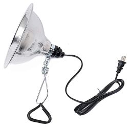 Clamp Lamp