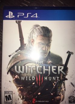 The witches 3 wild hunt