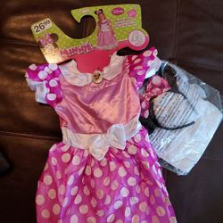 Minnie Mouse Costume