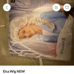 Elsa Wig NEW