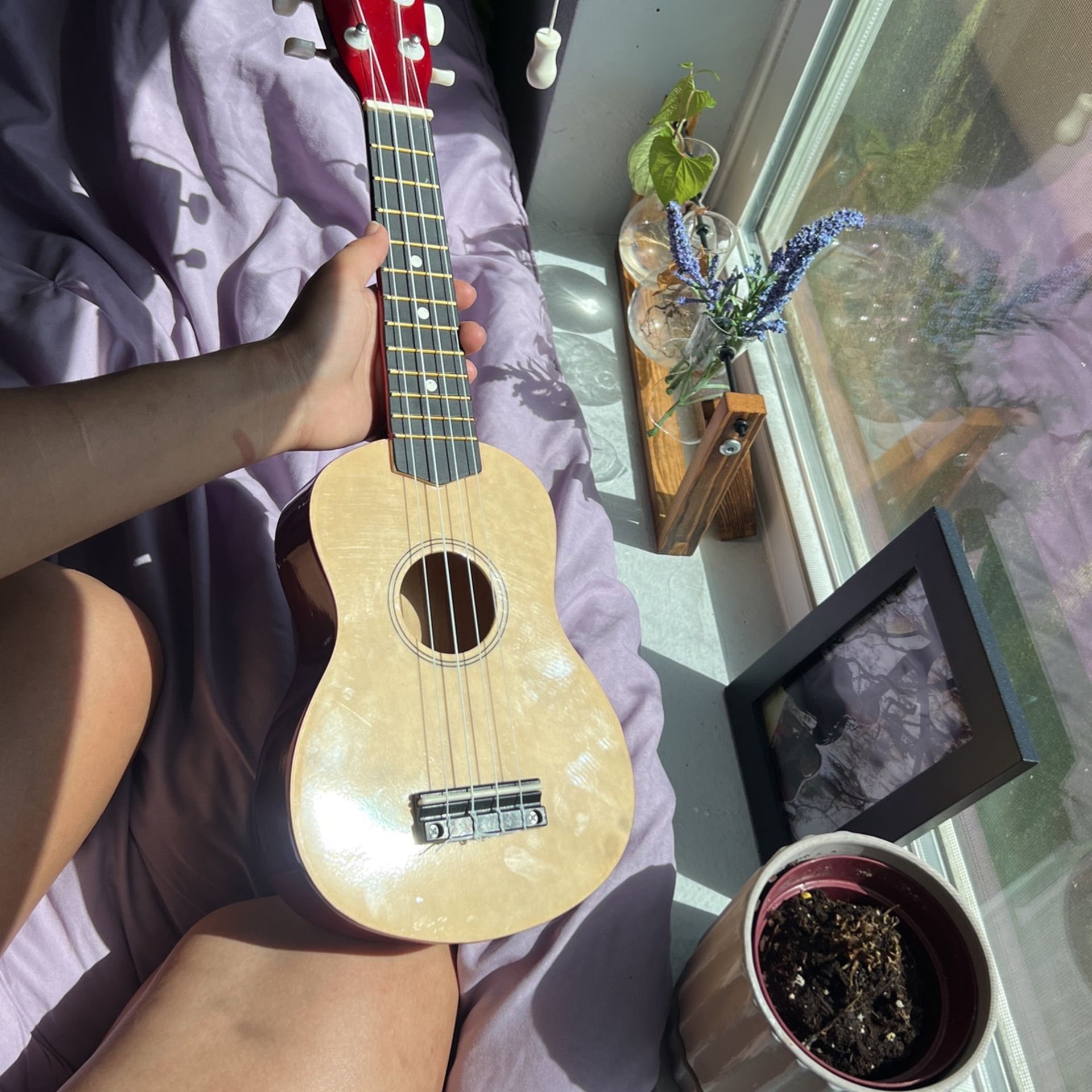 ukulele