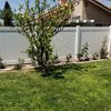 Henry's Fence