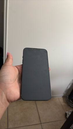 iPhone 15 regular