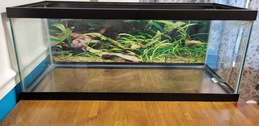 20 Gallon Aquarium Tank